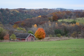 And life in the beautiful driftless region of Wisconsin!